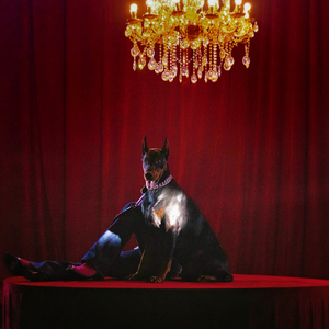 我的大鸡巴喜欢操日本女人的嫩骚逼
