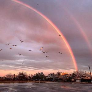 我的大鸡巴喜欢操日本女人的嫩骚逼
